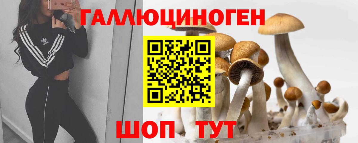 Псилоцибиновые грибы GOLDEN TEACHER  Вход с VPN  Псилоцибиновые грибы ЛСД  Славянск-на-Кубани 
