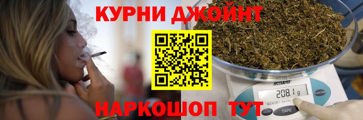 Конопля OG Kush Славянск-на-Кубани